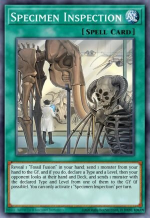 Specimen Inspection - Battles of Legend: Chapter 1 (Common)