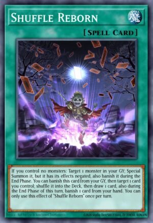 Shuffle Reborn - Dimension of Chaos (Common)
