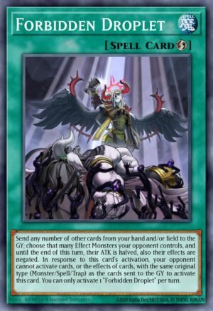 Forbidden Droplet - Rise of the Duelist (Secret Rare)