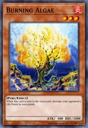 Burning Algae - Invasion of Chaos (Common)