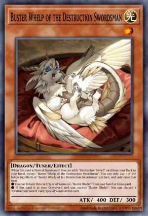 Buster Whelp of the Destruction Swordsman - Breakers of Shadow (Super Rare)