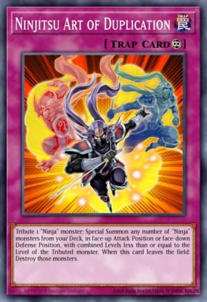 Ninjitsu Art of Duplication - OTS Tournament Pack 20 (Common)
