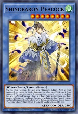 Shinobaron Peacock - Raging Tempest (Rare)