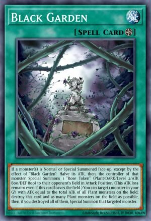 Black Garden - Legendary Duelists: Sisters of the Rose (Common)